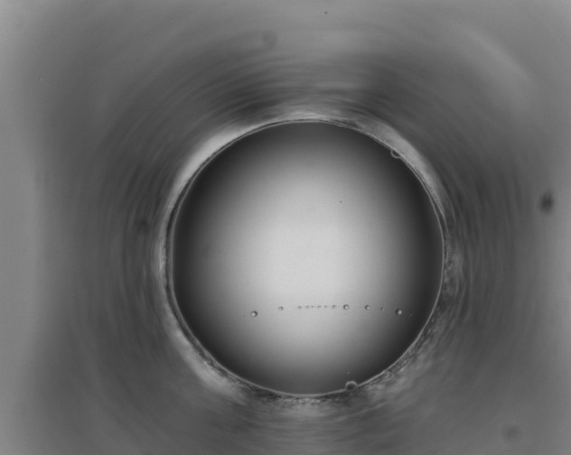 X0000096720811200802121247