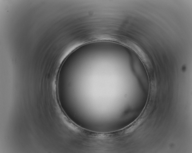X0000096720814200802121247
