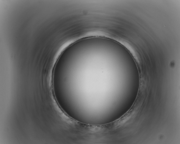 X0000096720815200802121247