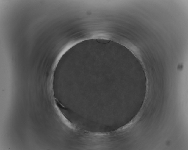 X0000096720816200802121247