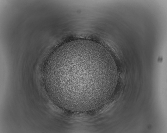 X0000096720817200802121246