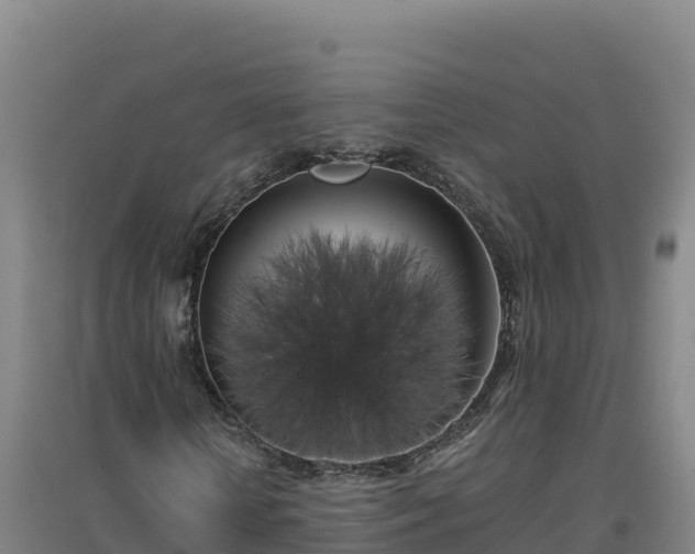 X0000096720818200802121246