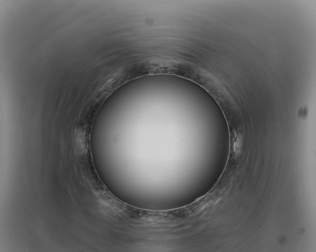 X0000096720819200802121246