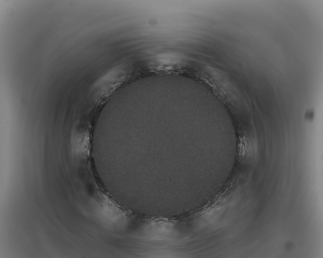 X0000096720820200802121246