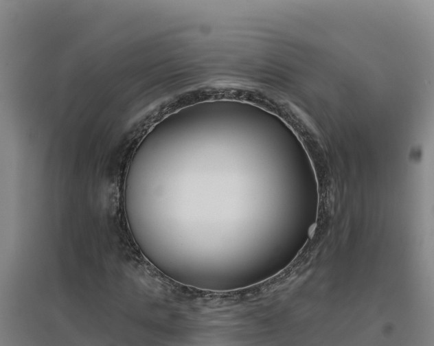 X0000096720821200802121246