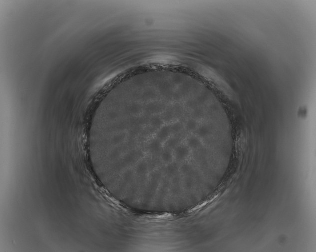 X0000096720822200802121246