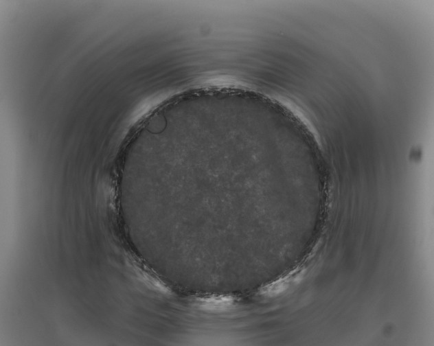 X0000096720823200802121246