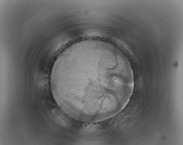 X0000096720824200802121246