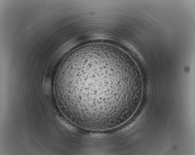X0000096720825200802121246