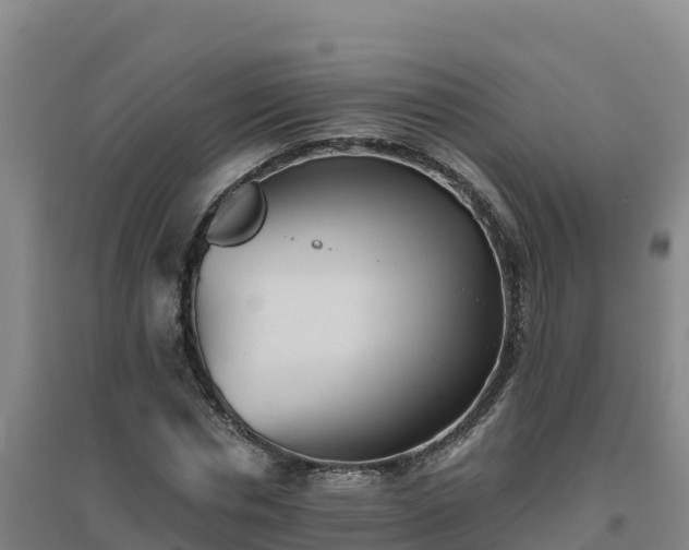 X0000096720826200802121246