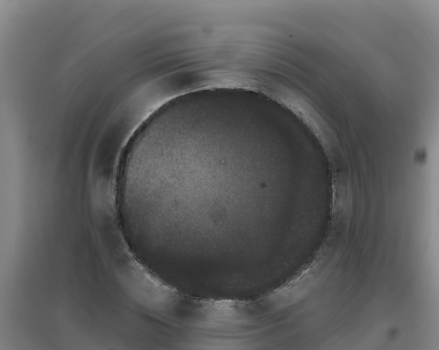 X0000096720828200802121246