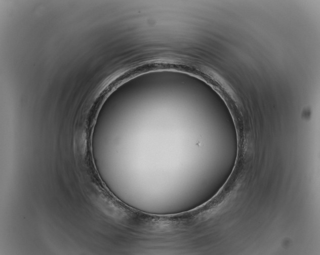 X0000096720829200802121246