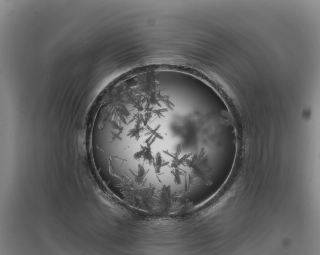X0000096720830200802121246