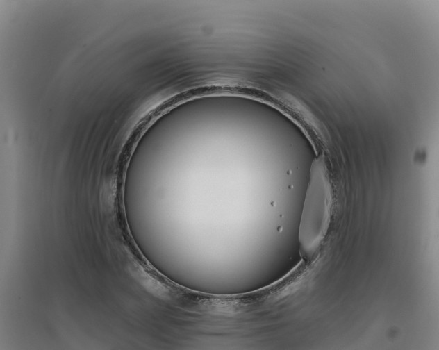 X0000096720831200802121246
