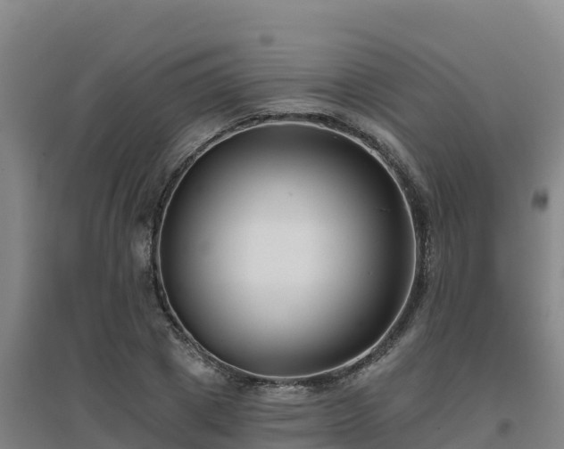 X0000096720833200802121246