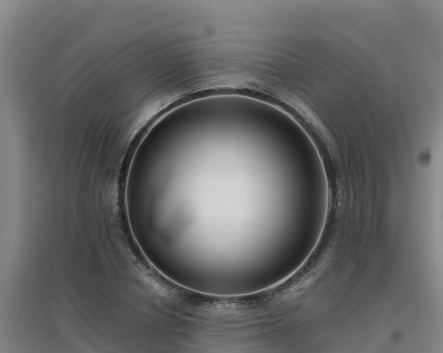 X0000096720834200802121246