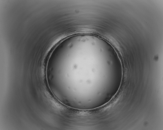X0000096720835200802121246