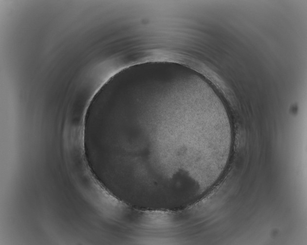 X0000096720836200802121246