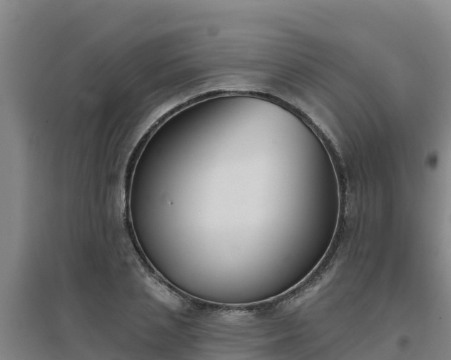 X0000096720837200802121246