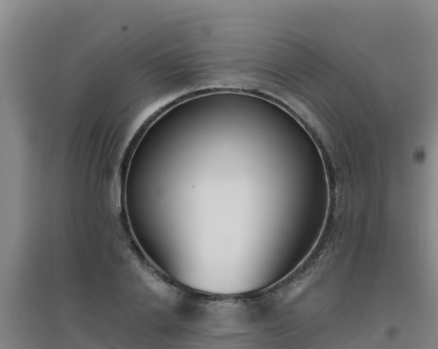 X0000096720838200802121246