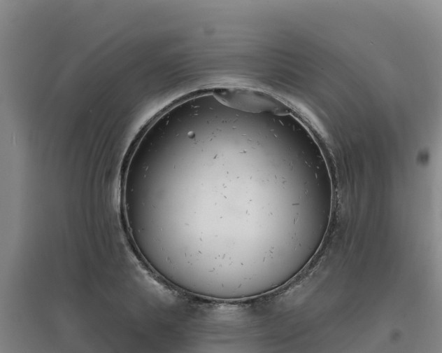 X0000096720839200802121246