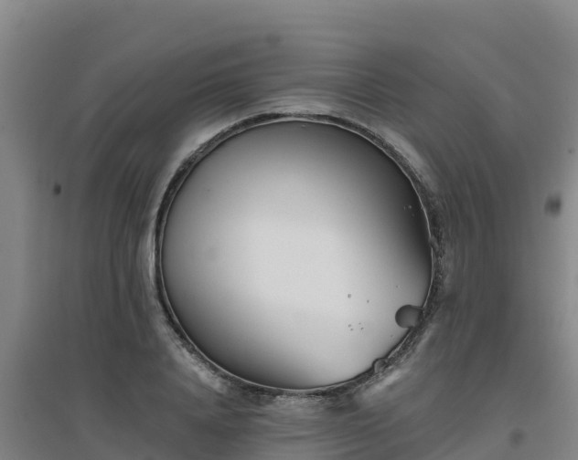 X0000096720840200802121246