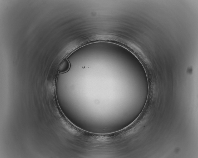X0000096720841200802121246