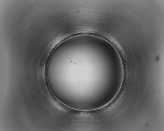 X0000096720842200802121246
