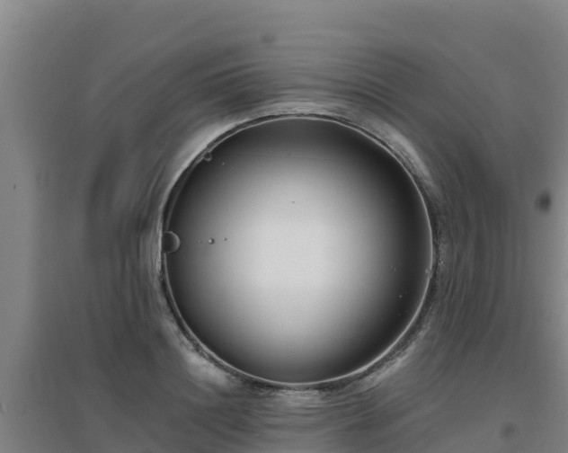X0000096720844200802121246