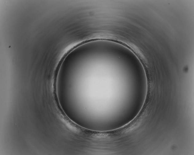X0000096720846200802121246