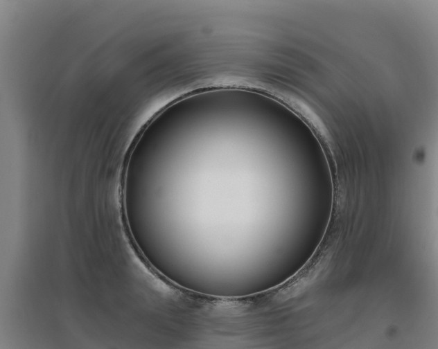 X0000096720847200802121246