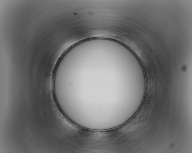 X0000096720848200802121246
