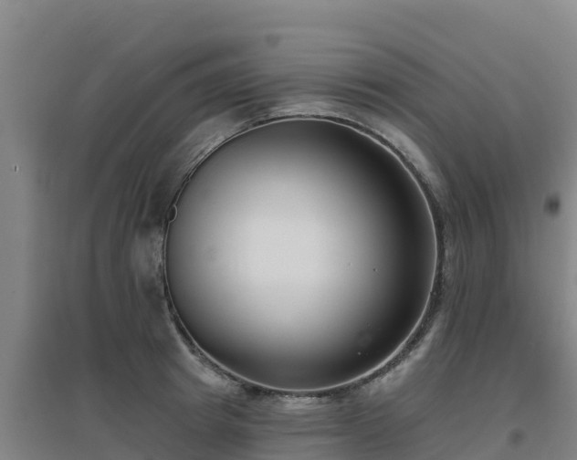 X0000096720849200802121246