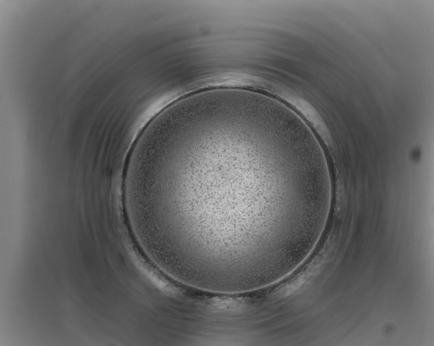 X0000096720850200802121246