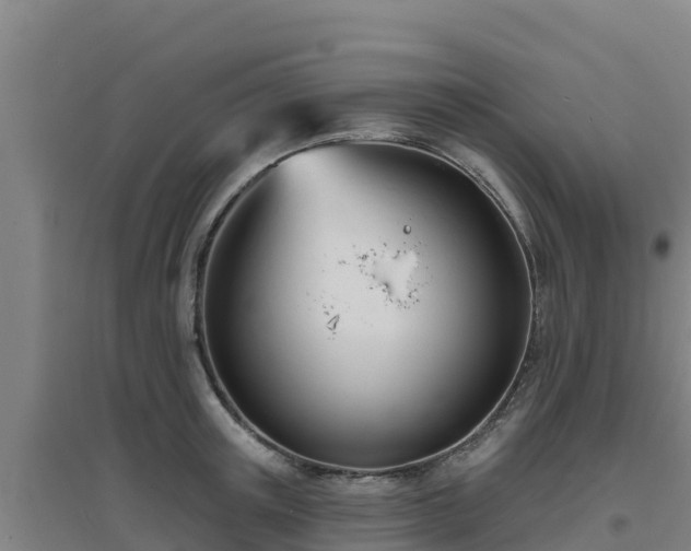 X0000096720851200802121246