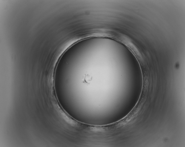 X0000096720852200802121247