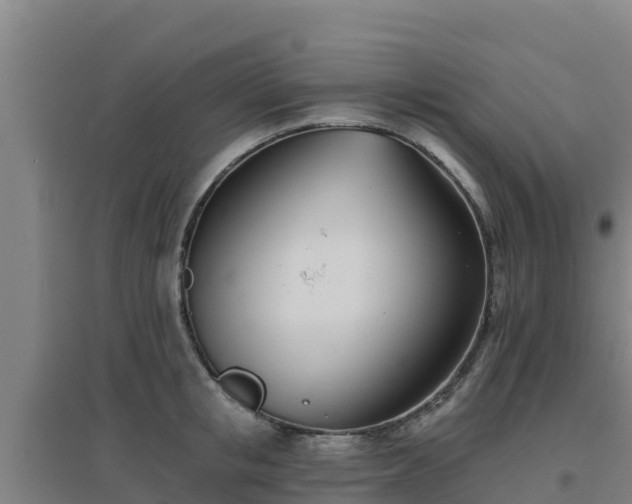 X0000096720853200802121247