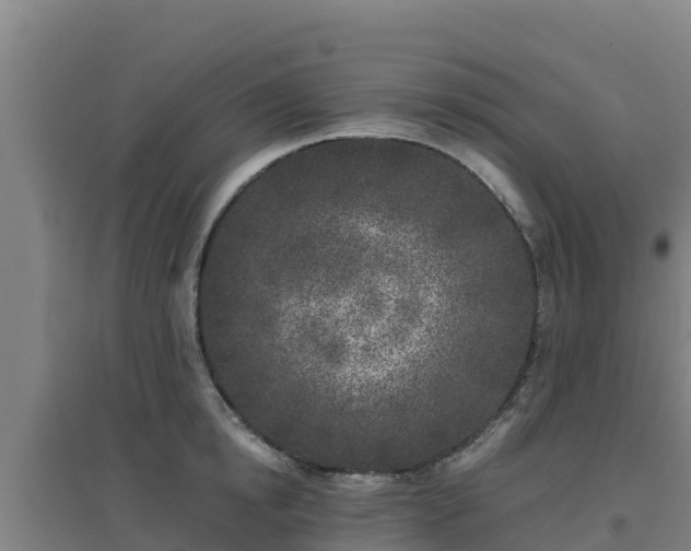 X0000096720854200802121247
