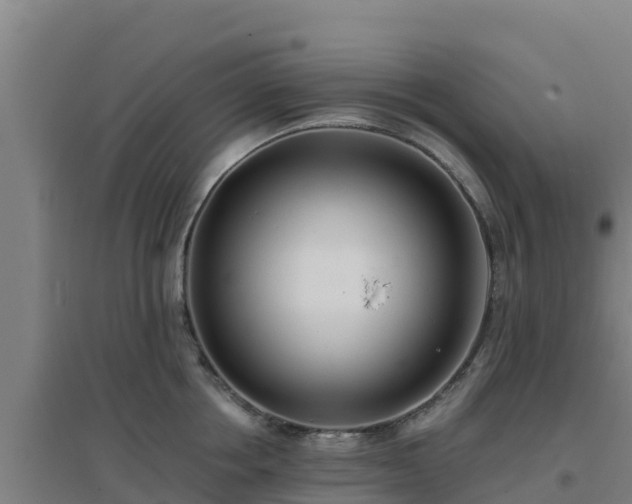 X0000096720858200802121247