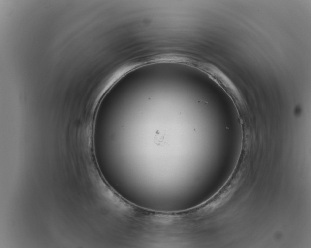 X0000096720860200802121247