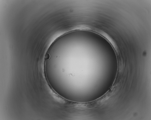 X0000096720861200802121247