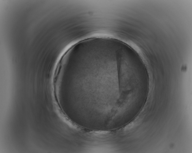 X0000096720864200802121247