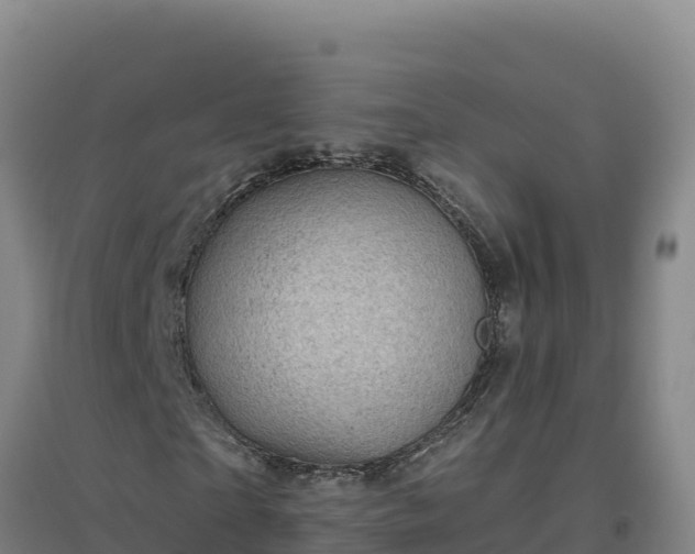 X0000096720865200802121246
