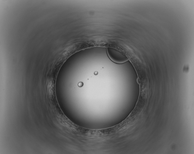 X0000096720866200802121246