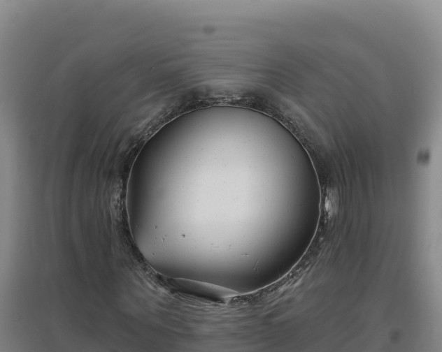 X0000096720867200802121246