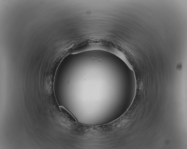 X0000096720868200802121246