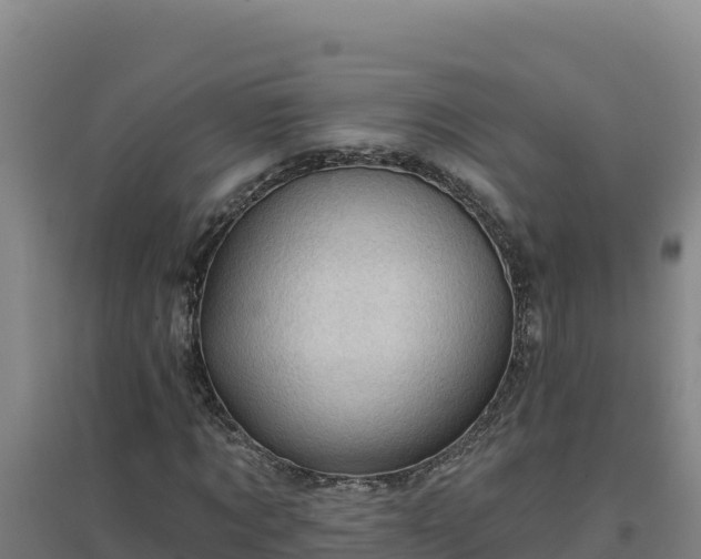 X0000096720869200802121246