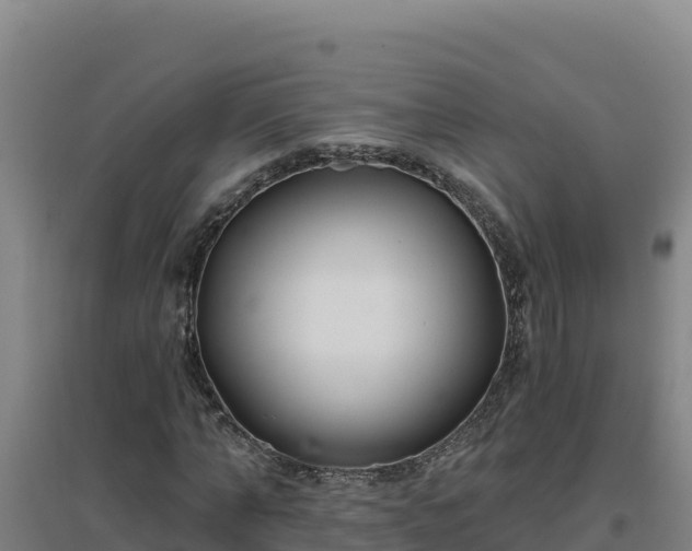 X0000096720870200802121246