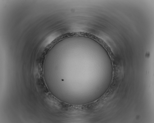 X0000096720871200802121246