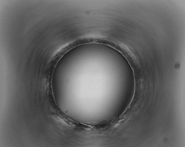 X0000096720872200802121246